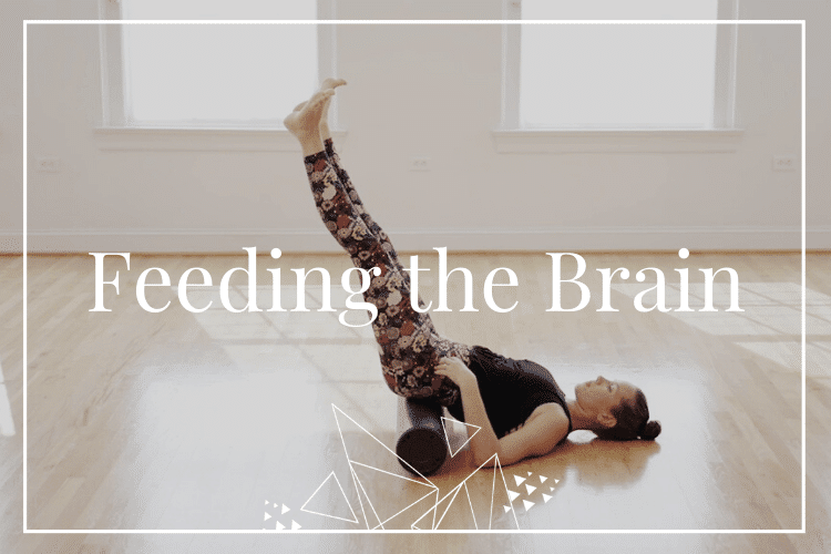 Feeding the Brain – September 2019