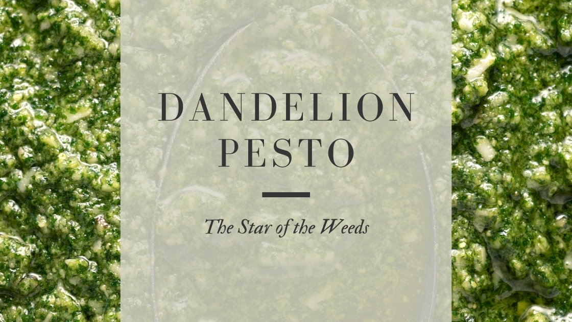 Dandelion Pesto