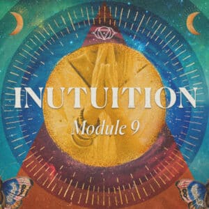 Module 9 - Intuition